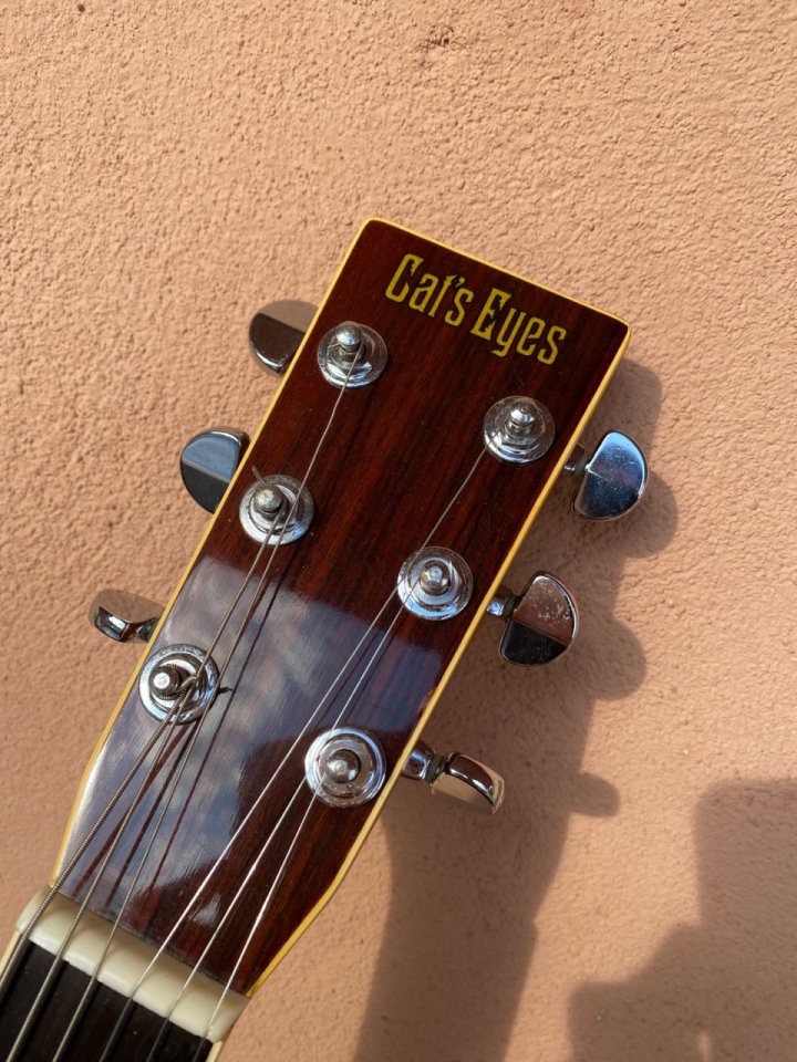 Tokai CE-320DN Cats Eye de segunda mano · Foto 4 de 10 · Barcelona · 720 €