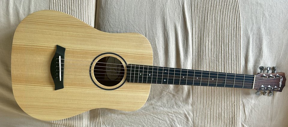 Baby Taylor BT1 Walnut de segunda mano · Foto 2 de 6 · Araba · 260 €