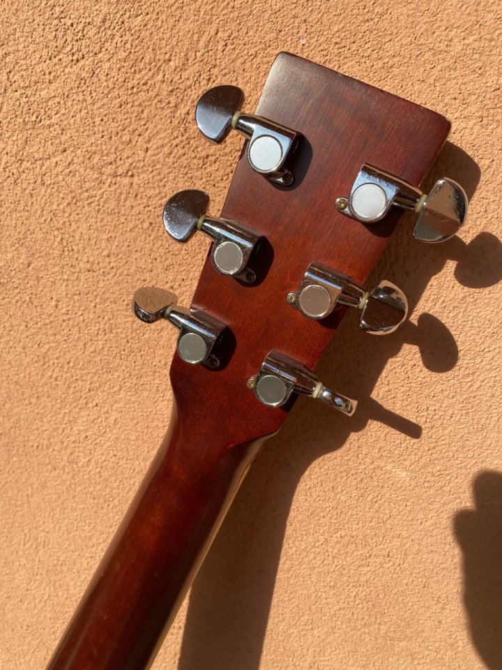 Tokai CE-320DN Cats Eye de segunda mano · Foto 8 de 10 · Barcelona · 720 €