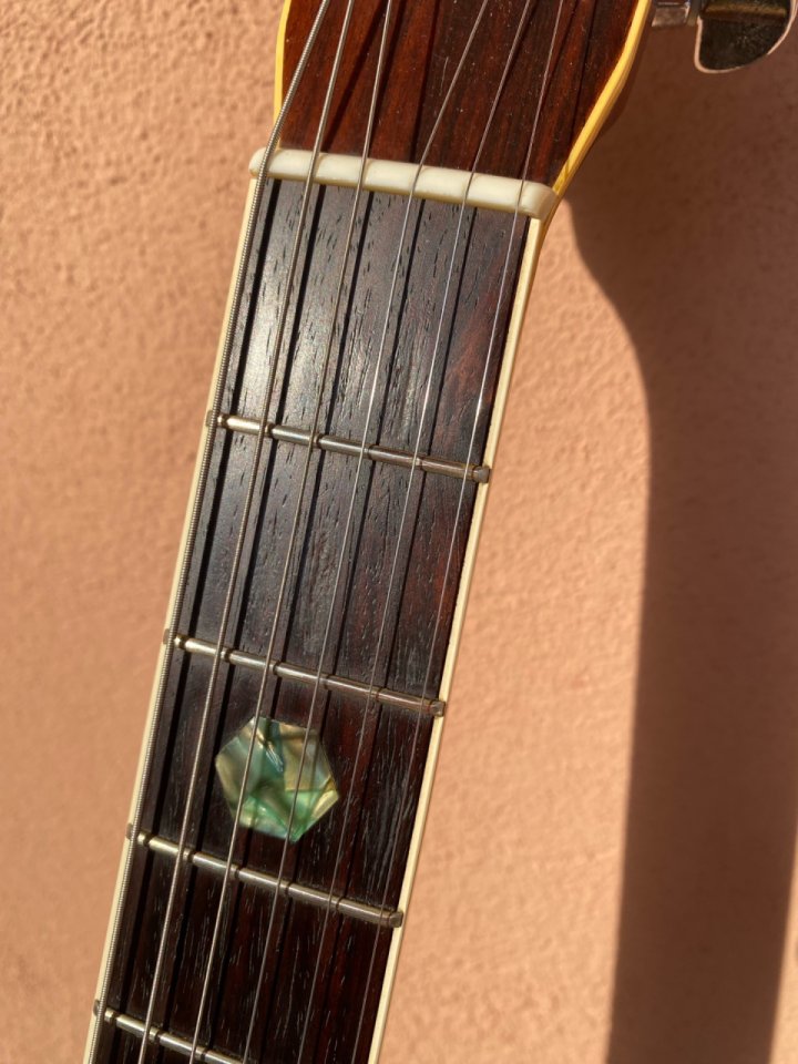 Tokai CE-320DN Cats Eye de segunda mano · Foto 10 de 10 · Barcelona · 720 €