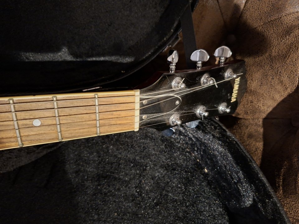 Yamaha Troy Van Leween SA503TVL