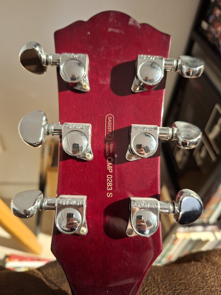 Yamaha Troy Van Leween SA503TVL