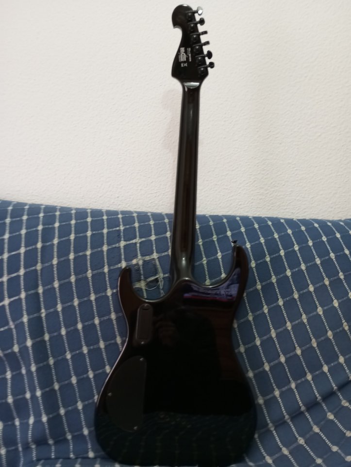 Washburn x50 proe