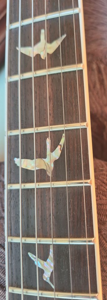 2024 PRS Singlecut McCarty 594