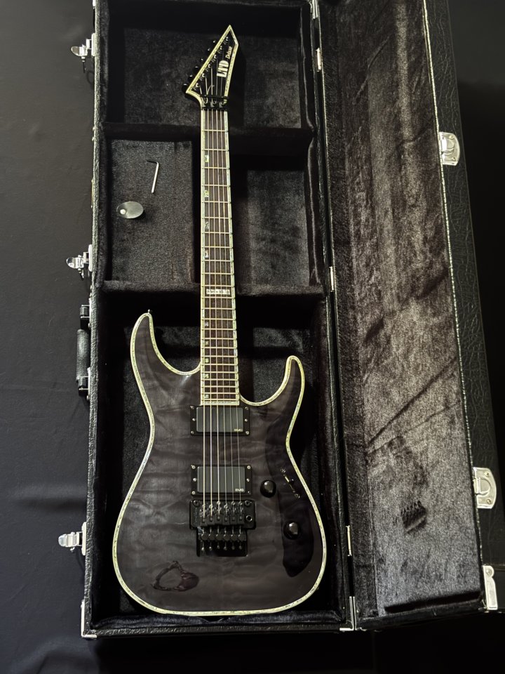 LTD MH-1000FR See-Thru Black de segunda mano · Foto 1 de 6 · Madrid · 950 €