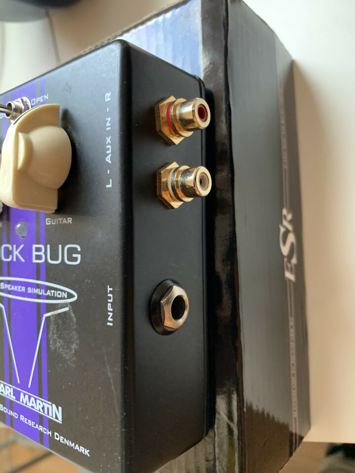 Carl Martin Rock Bug