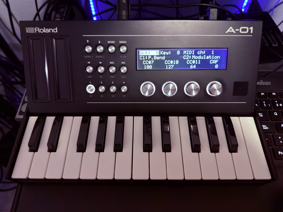 Roland Boitique A-01 + K-25m teclado