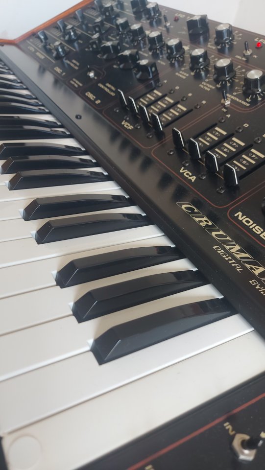 Crumar DS2 (Customizado)