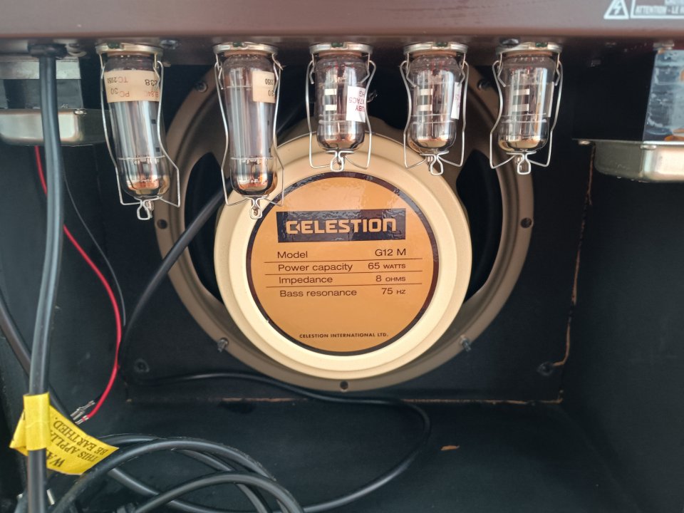 Laney Cub 12r + creamback