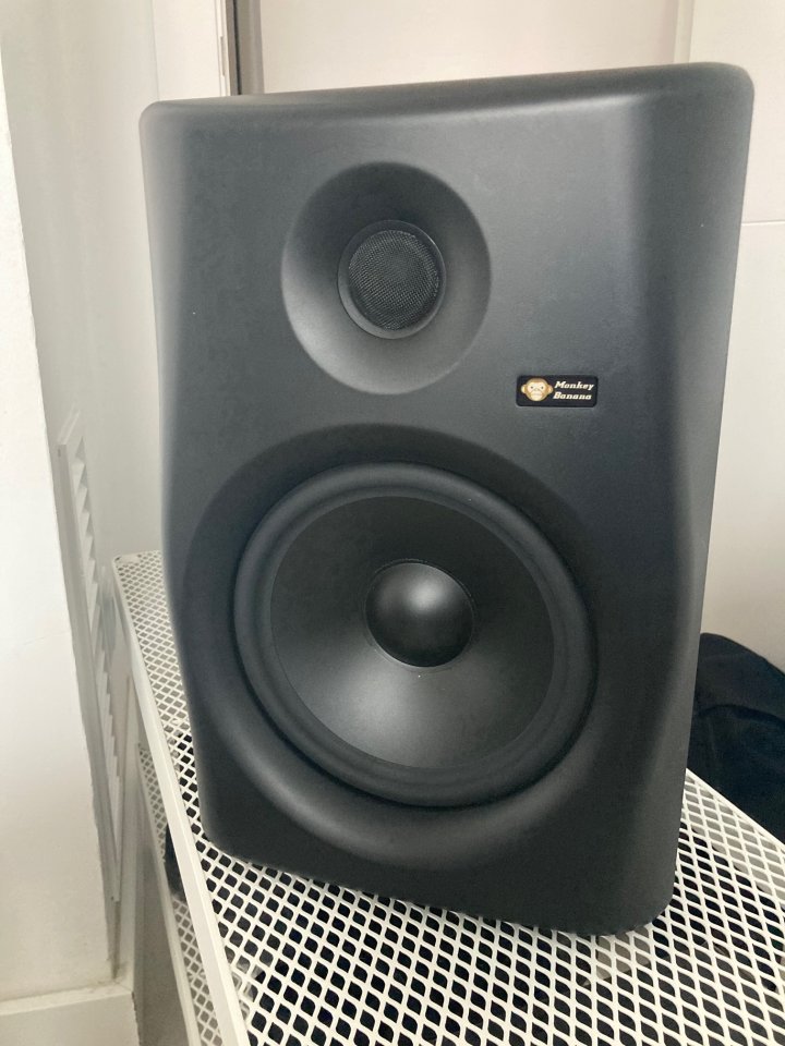 MONITORES REACONDICIONADOS (EN CAJAS Y SIN USO DESDE) Monkey Banana Gibbon 8", €280