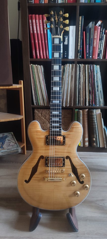 Se busca guitarrista nivel alto