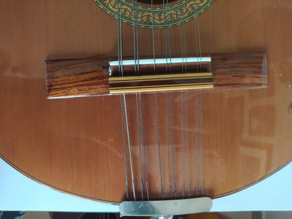 Bandurria Alhambra B3C