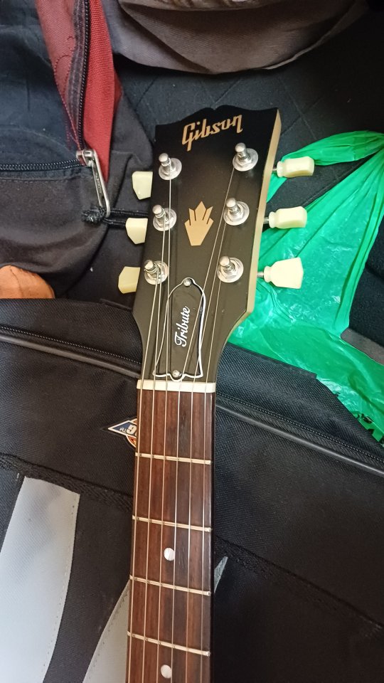 Gibson sg tribute de segunda mano · Foto 4 de 6 · Barcelona · 900 €