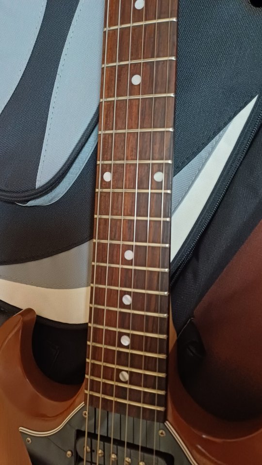 Gibson sg tribute de segunda mano · Foto 5 de 6 · Barcelona · 900 €