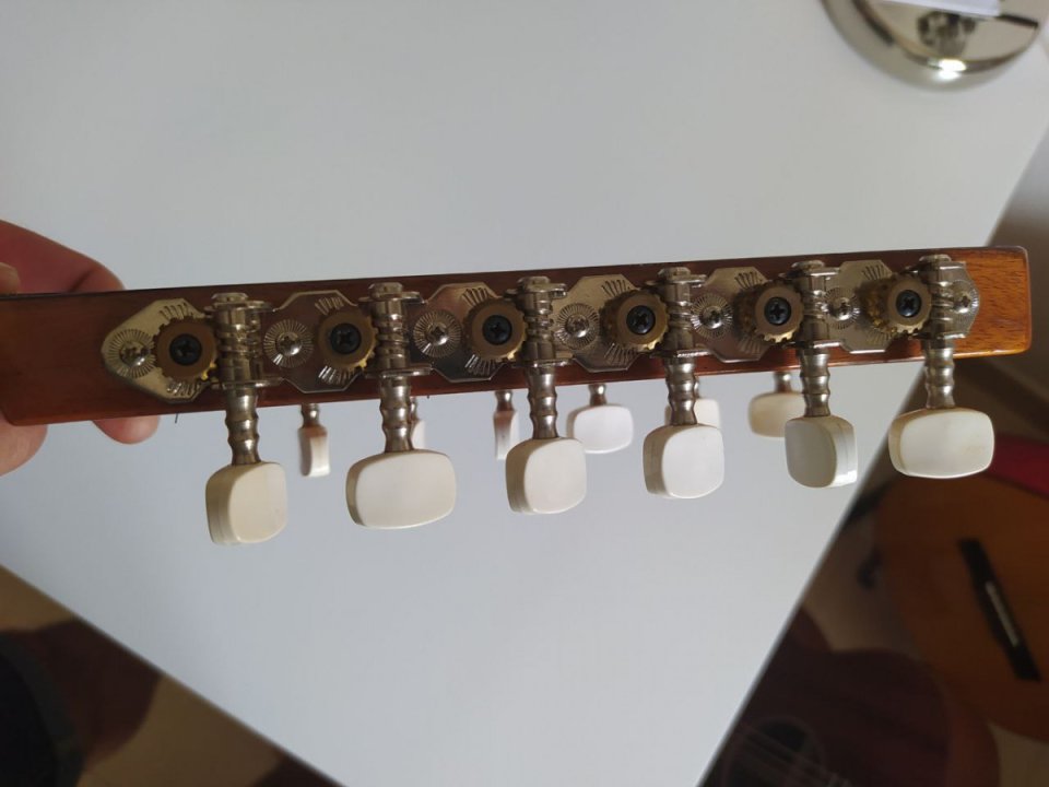 Bandurria Alhambra B3C