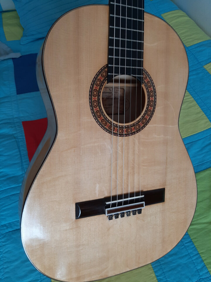 Busco guitarras para RESTAURAR/REPARAR