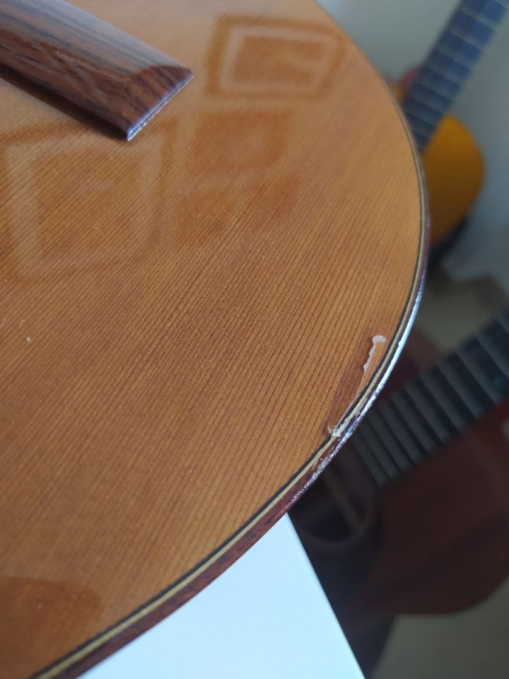 Bandurria Alhambra B3C