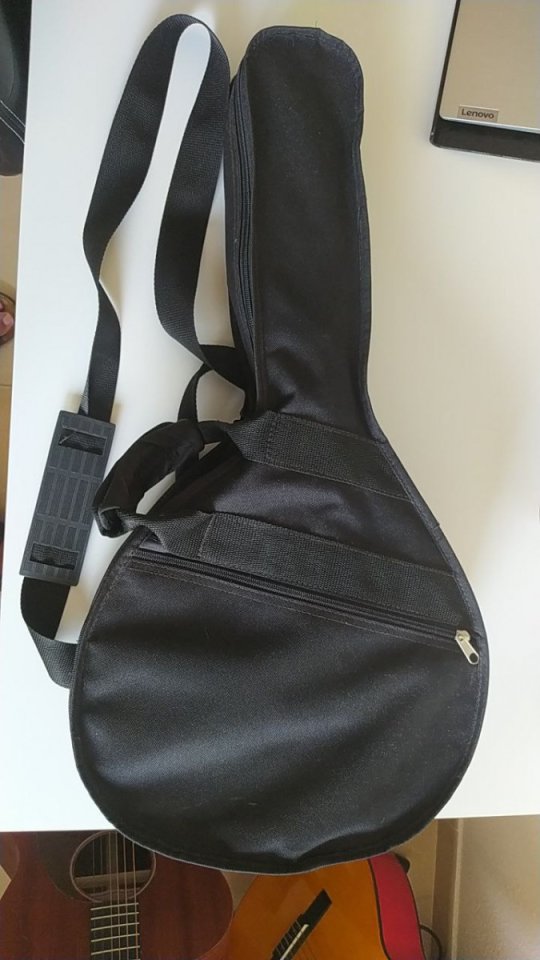 Bandurria Alhambra B3C