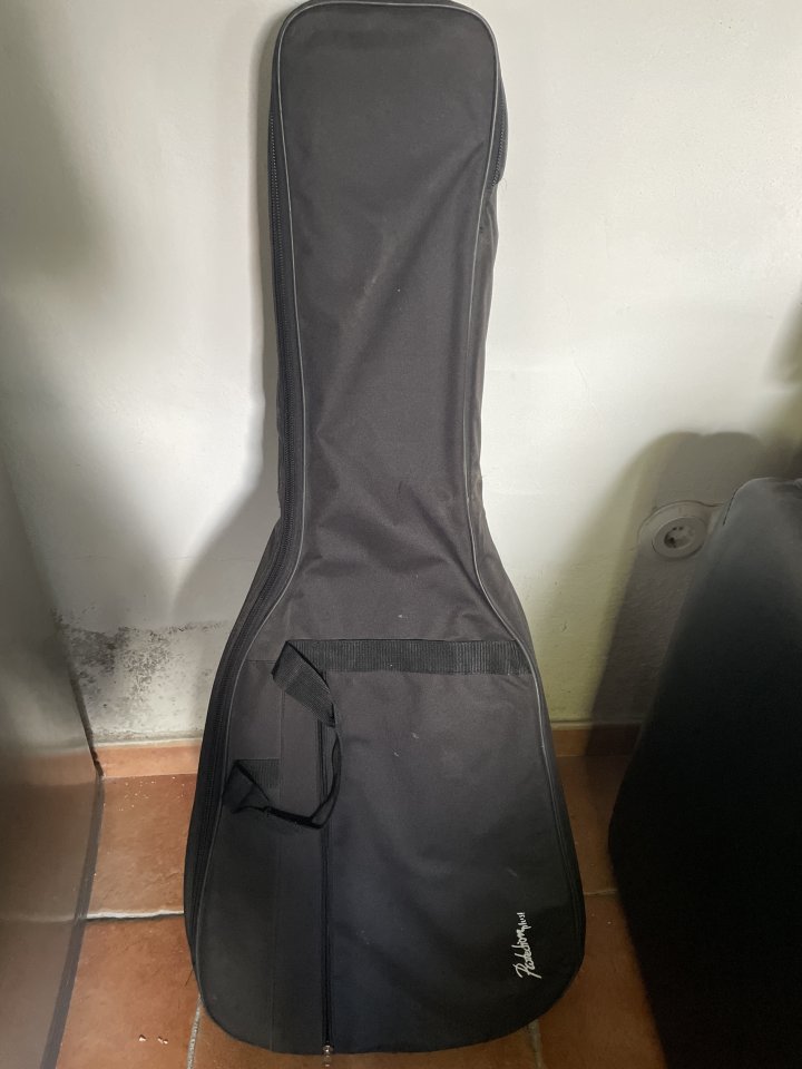 Funda Acústica de segunda mano · Foto 1 de 2 · Navarra · 28 €