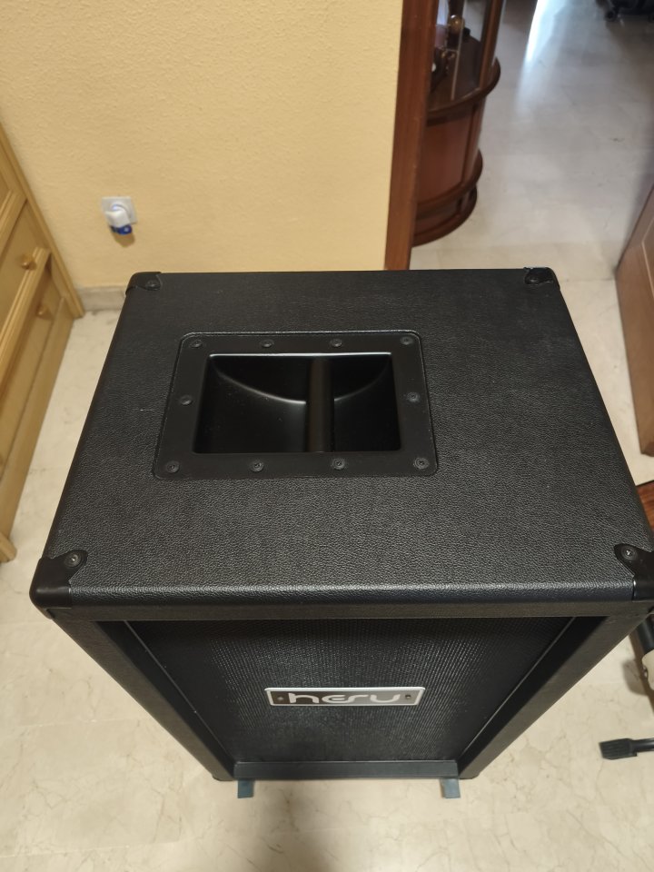 Vendo Hesu 2x12 sonido increíble