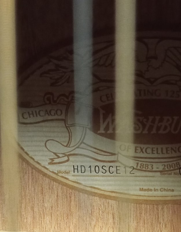 Guitarra WASHBURN 12 cuerdas + MALETA