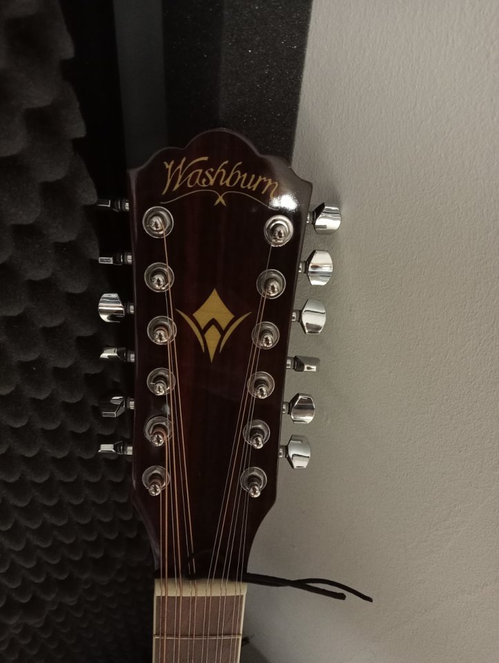 Guitarra WASHBURN 12 cuerdas + MALETA