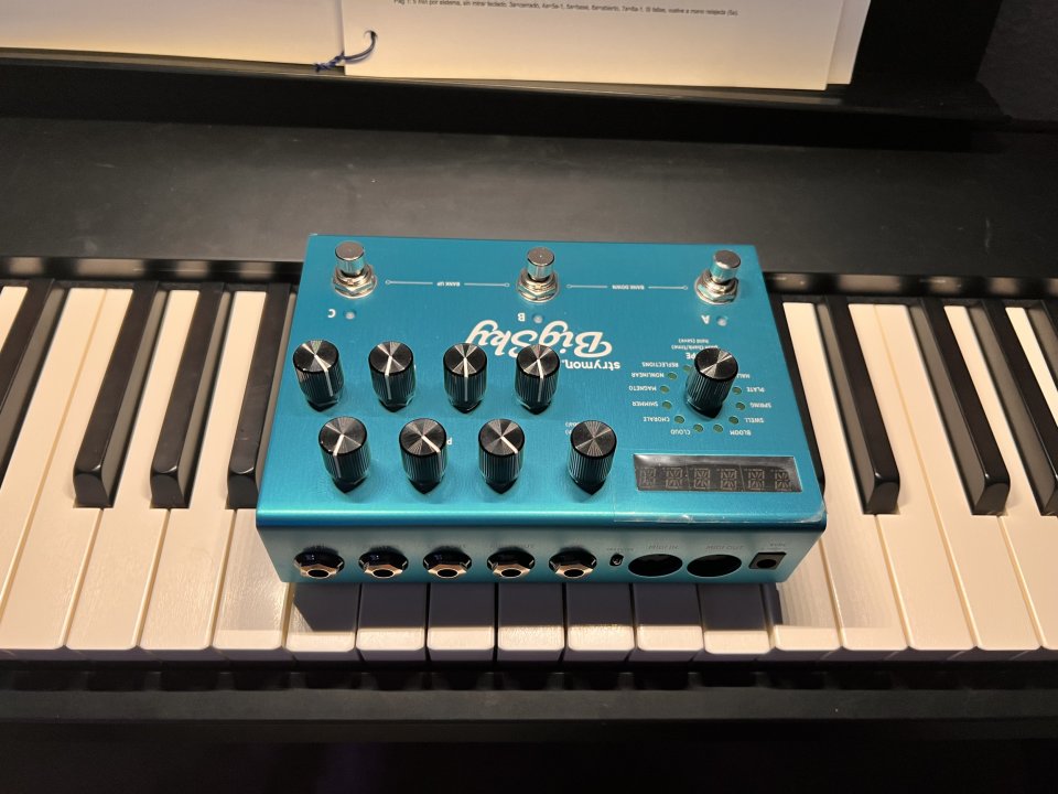 Strymon Big Sky de segunda mano · Foto 1 de 2 · Madrid · 310 €