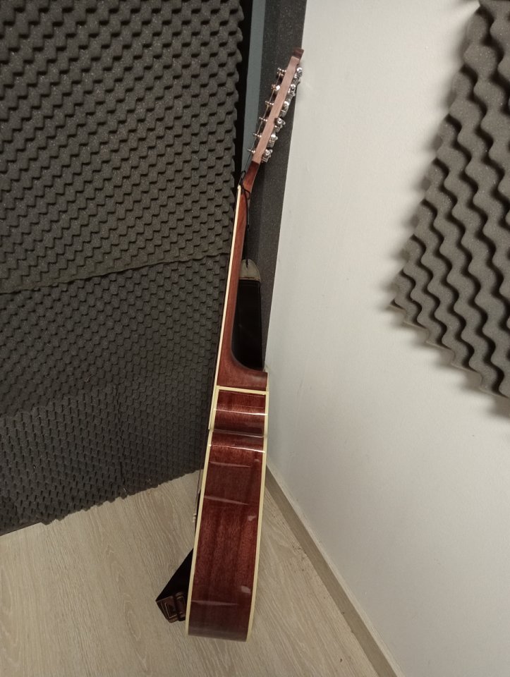 Guitarra WASHBURN 12 cuerdas + MALETA