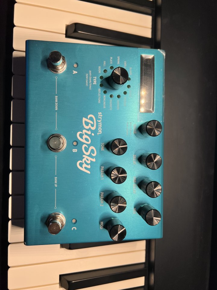 Strymon Big Sky de segunda mano · Foto 2 de 2 · Madrid · 310 €