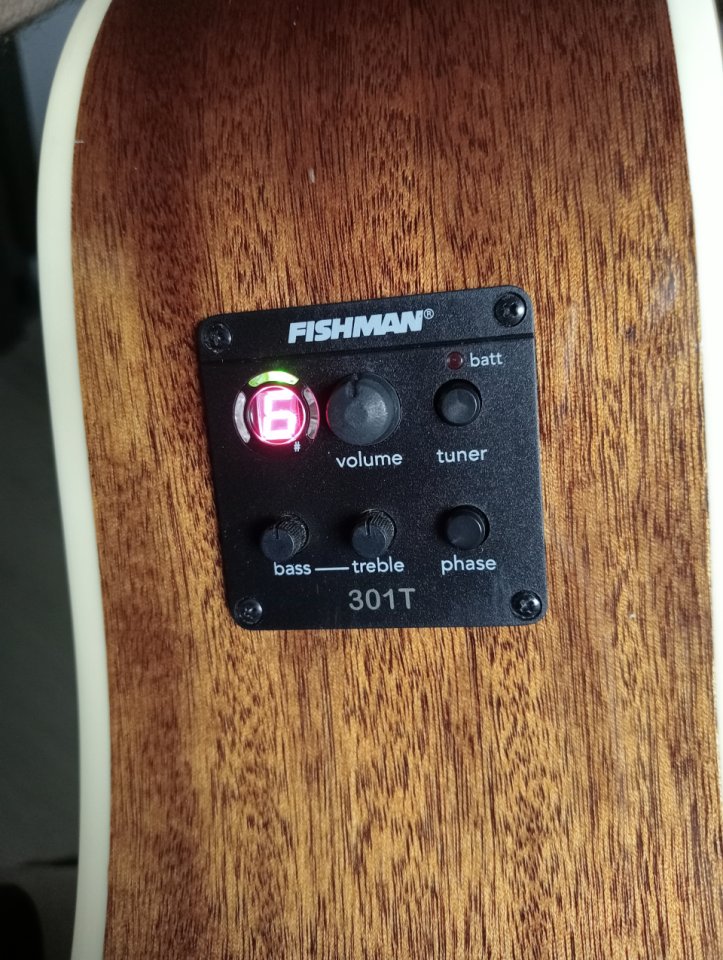 Guitarra WASHBURN 12 cuerdas + MALETA