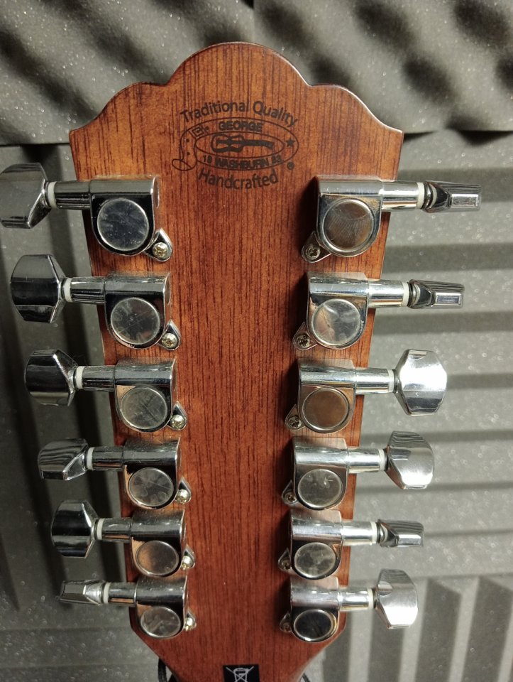 Guitarra WASHBURN 12 cuerdas + MALETA