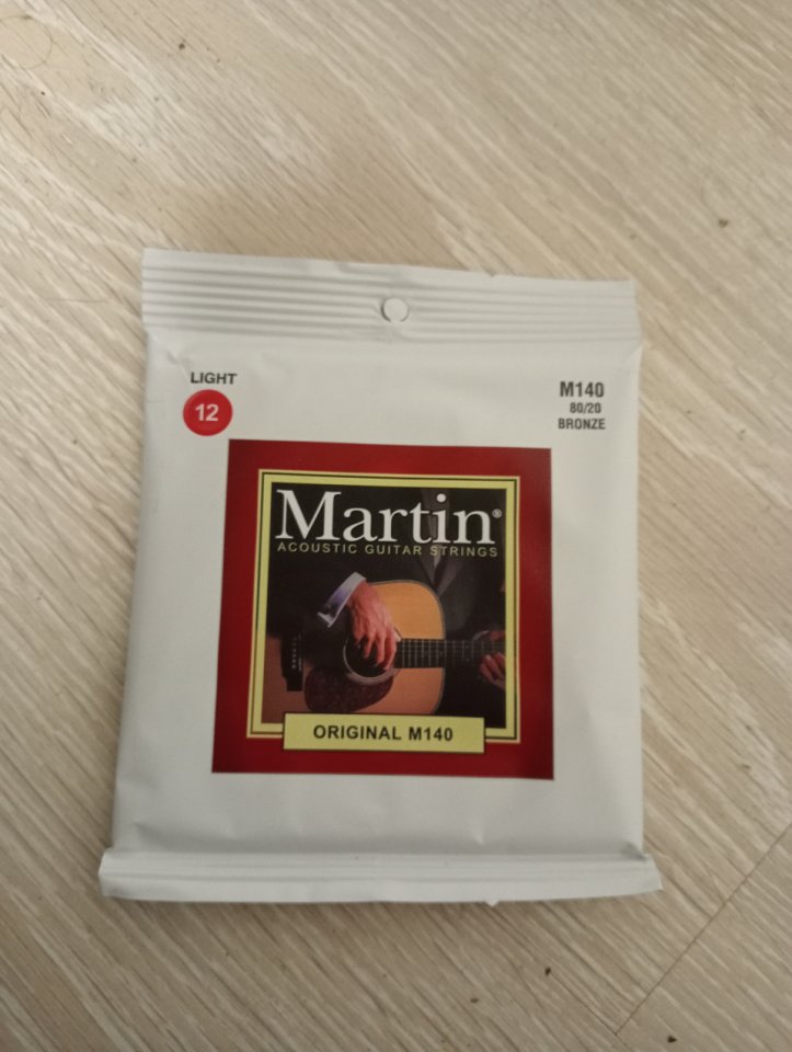 Guitarra WASHBURN 12 cuerdas + MALETA