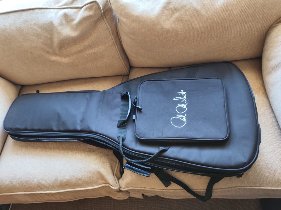 PRS S2 McCarty 594 (2021)