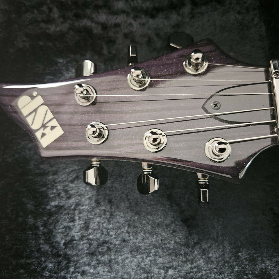 Guitarra Eléctrica ESP Forest-GT