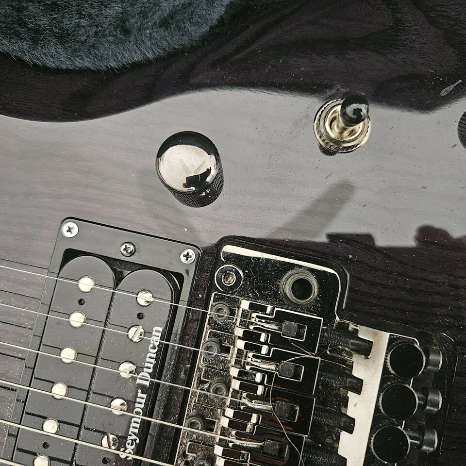 Guitarra Eléctrica ESP Forest-GT