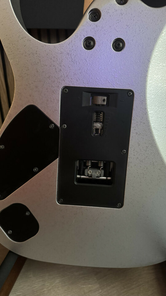 Ibanez Prestige Rg2570z team japan craft