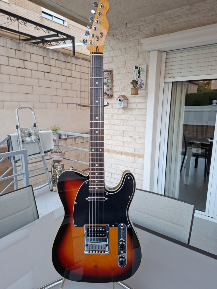 Telecaster - Telepartster de Luthier.