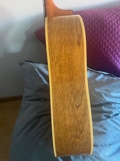 Guitarra acústica Seagull S6.   Incluye estuche rígido (¡regalo!)