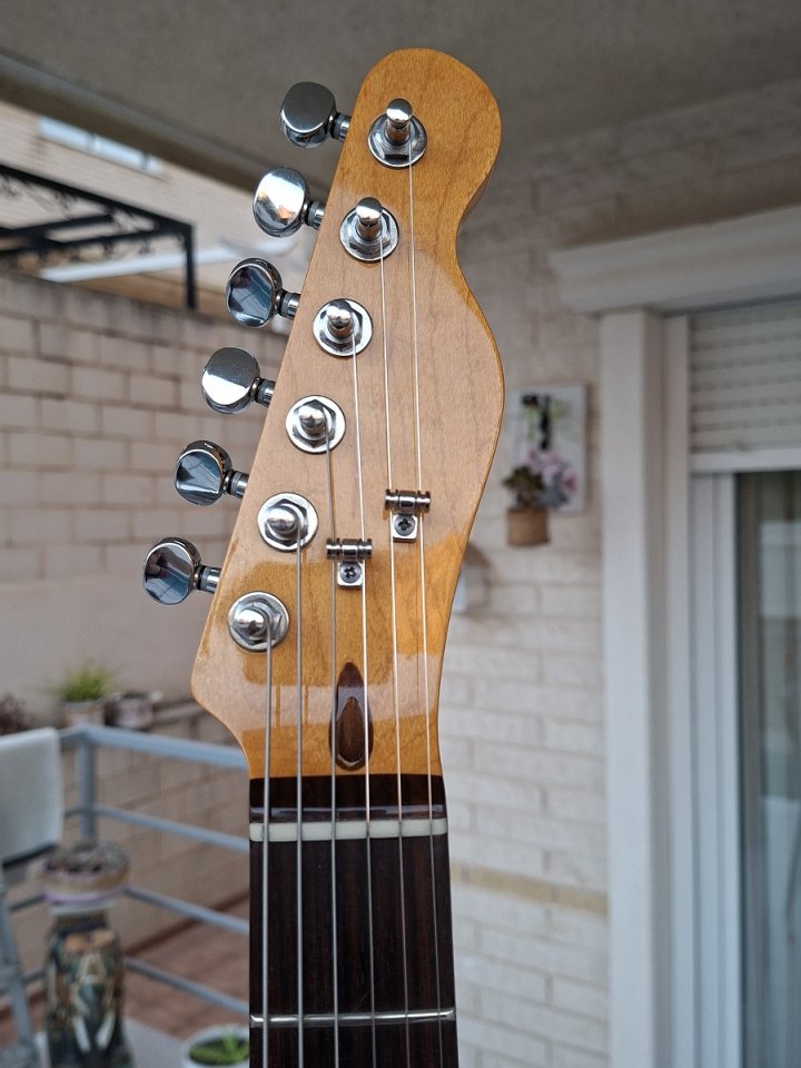 Telecaster - Telepartster de Luthier.
