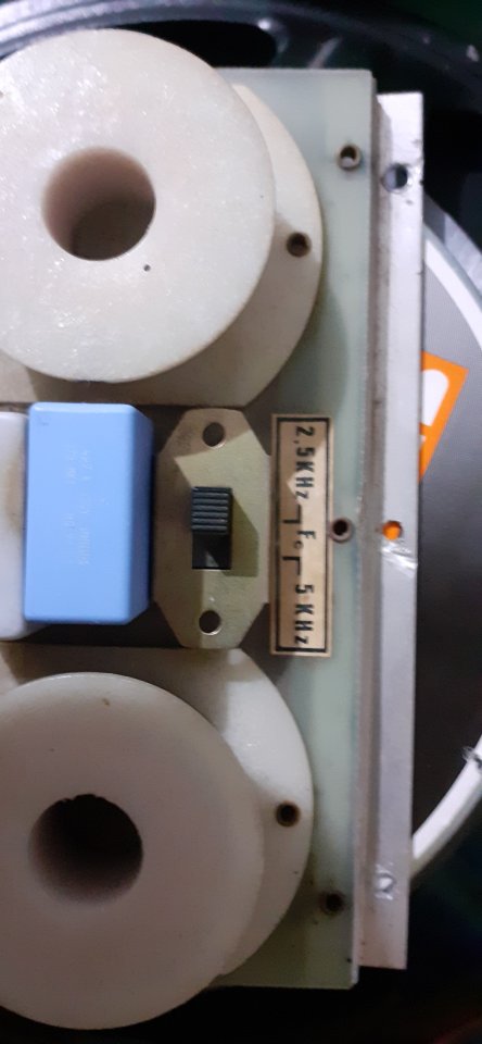 Filtro de 2 vías 200/300w