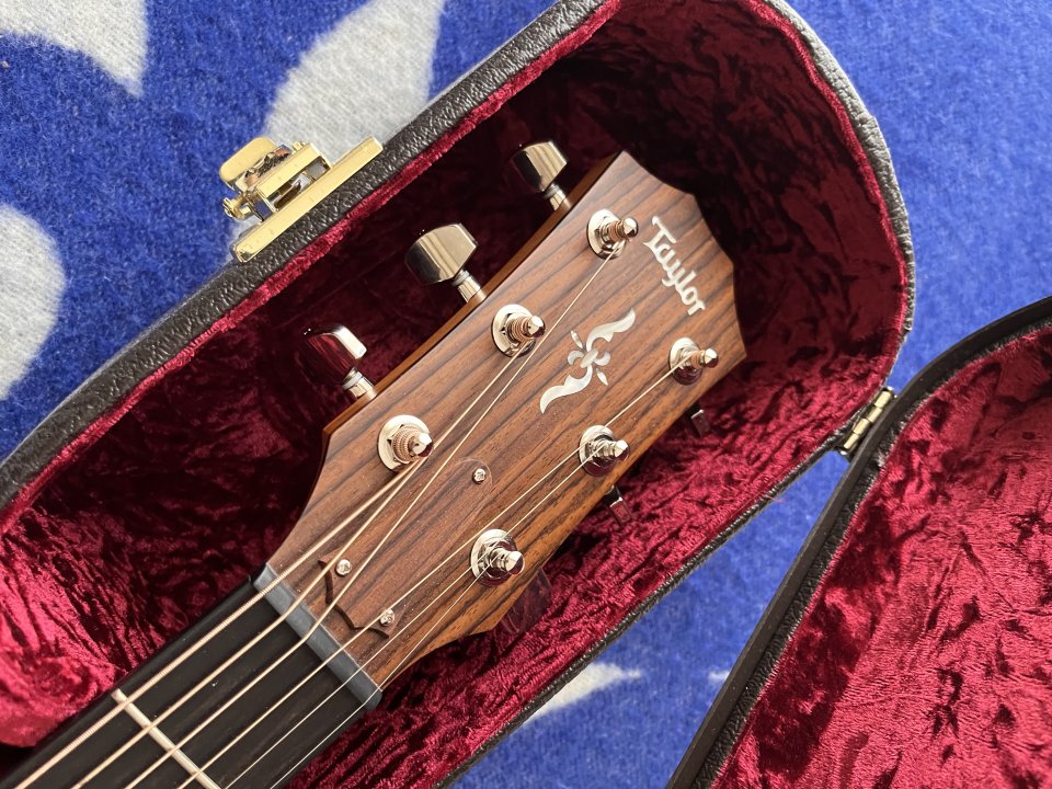 Taylor 414CE-R Nueva