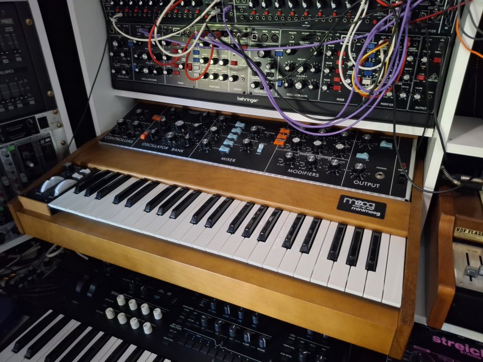 Prophet 10/moog minimog de segunda mano · Madrid