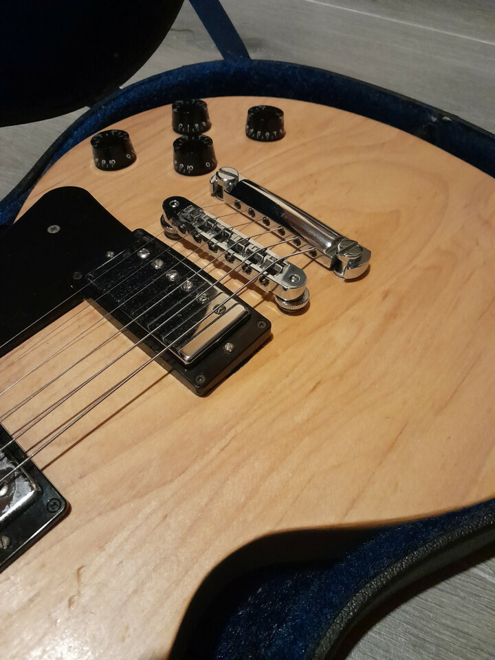 Gibson les Paul raw power. RESERVADA