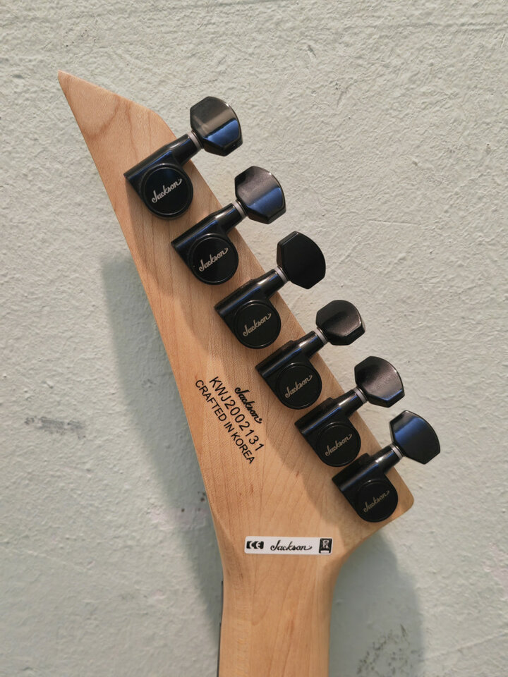 Jackson Pro DINKY DK2 ASH BW