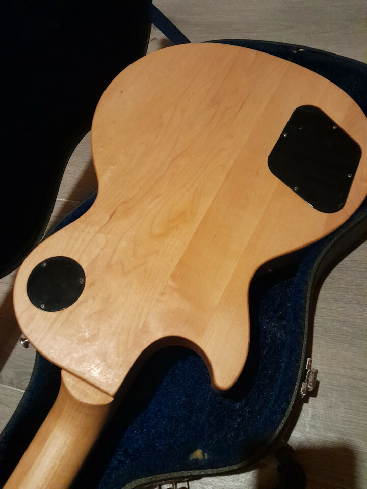 Gibson les Paul raw power. RESERVADA