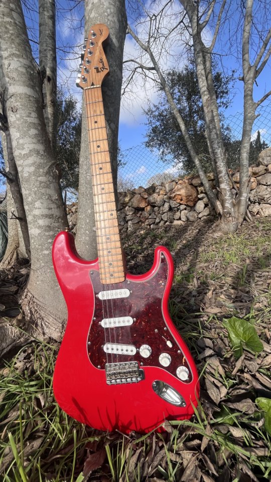 Fender Stratocaster Japón