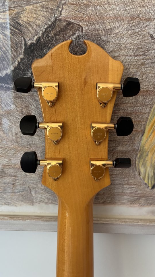 D'Aquisto Jazz Line de segunda mano · Foto 8 de 10 · Barcelona · 2200 €