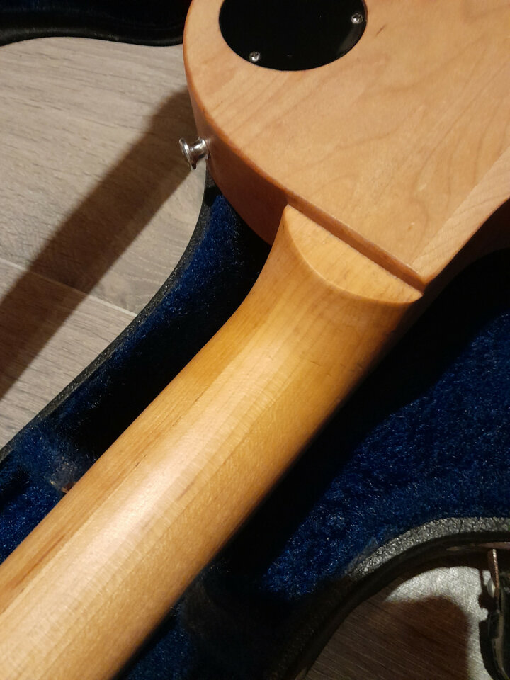 Gibson les Paul raw power. RESERVADA