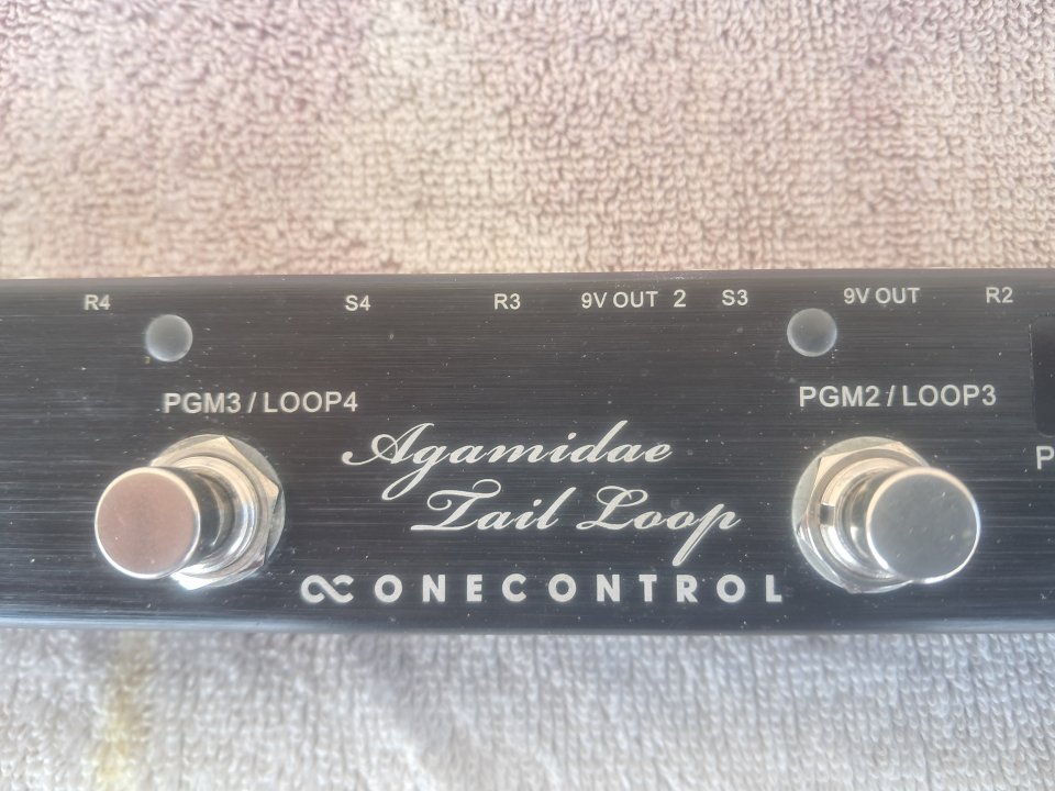 One Control Agamidae Tail Loop (Looper/Switcher)