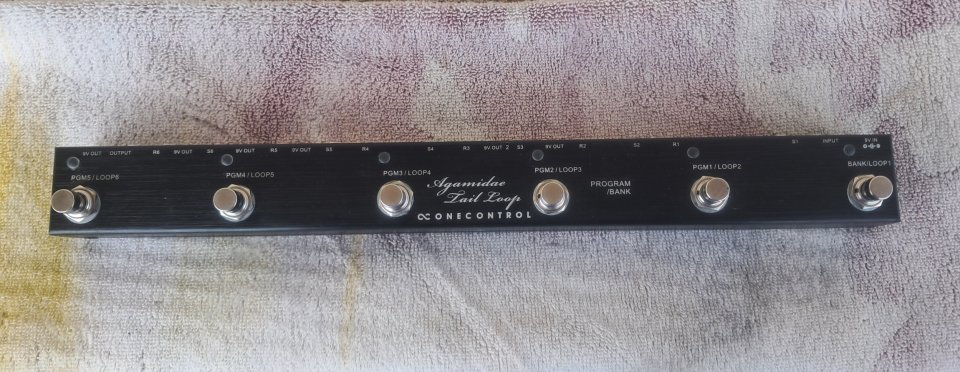 One Control Agamidae Tail Loop (Looper/Switcher)